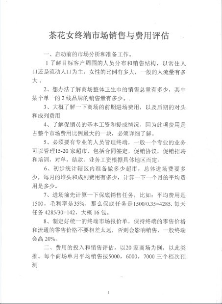 淮南茶花女商超运作方案